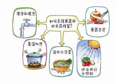 如何減少農(nóng)藥污染去除農(nóng)藥殘留？振華化工總結(jié)以下幾點分享給大家